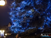1631img_7100