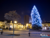 1637img_7115