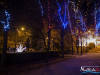 1644img_7136
