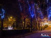 1644img_7138