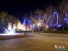 1650img_7157