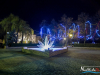 1651img_7159
