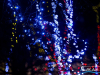 1655img_7171