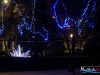 1659img_7187