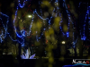 1659img_7192