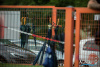1529IMG_9294_wynik