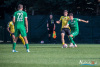 1643IMG_9492_wynik