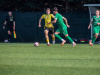 1643IMG_9491_wynik