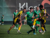 1655IMG_9538_wynik