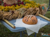 1622img_8409