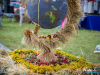 1622img_8410