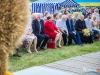 1622img_8413