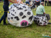 1624img_8425