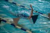 1131IMG_9546
