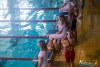 1133IMG_9566