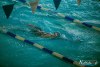 1135IMG_9578