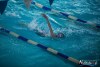 1135IMG_9579