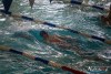 1137IMG_9589
