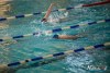 1144IMG_9618