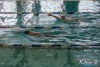 1144IMG_9622