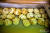 1548IMG_8819
