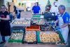 1549IMG_8825