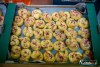 1549IMG_8826