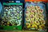 1549IMG_8827