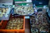 1549IMG_8828