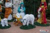 1531IMG_7381