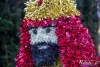 1532IMG_7384