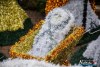 1532IMG_7390