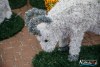 1532IMG_7391