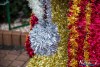 1533IMG_7396