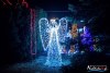 1731IMG_7401
