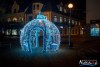1733IMG_7415