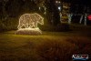 1742IMG_7468