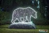 1742IMG_7469