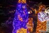 1749IMG_7485