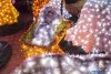 1750IMG_7490