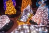 1750IMG_7491