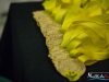 1415img_3660
