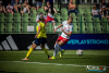 1516IMG_8742_wynik