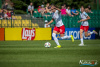 1519IMG_8752_wynik