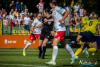 1519IMG_8755_wynik