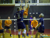 1542img_0783