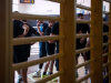 1126IMG_1013_wynik