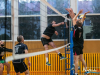 1529img_7225