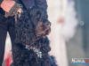 1259img_0358