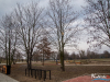 1617IMG_9374
